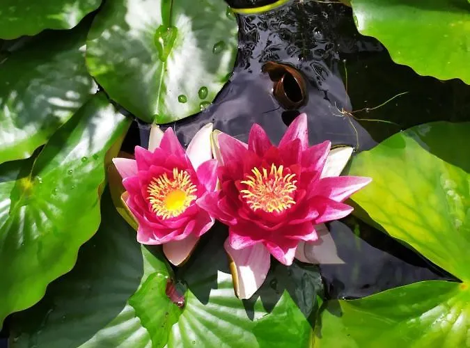 Prázdninový dům Casa Garabullo